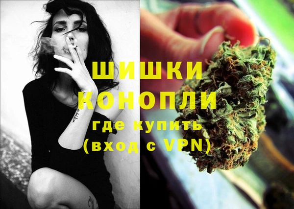 apvp Осинники