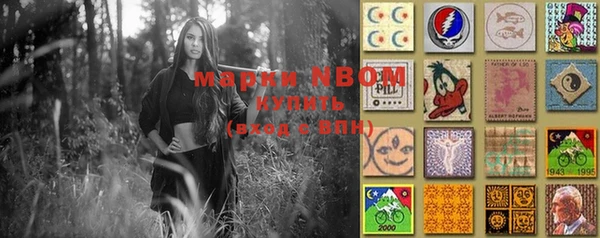 дмт Вяземский