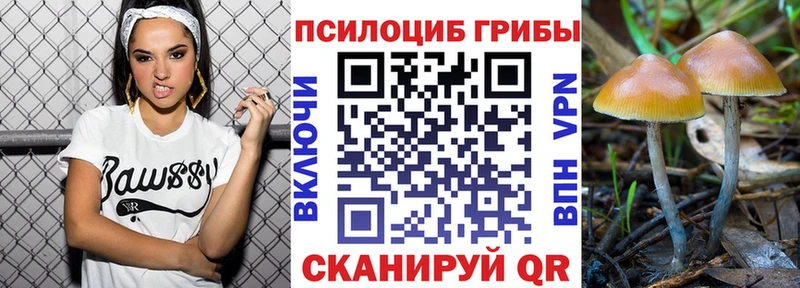 Псилоцибиновые грибы ЛСД  Западная Двина 